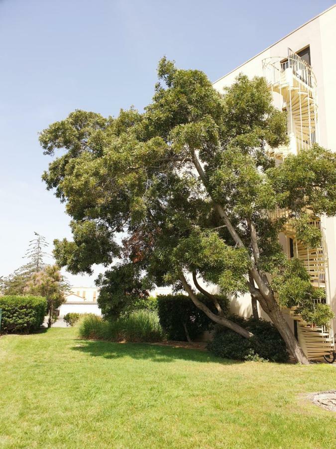 Studio Calme Avec Parking Et Ascenseur -304- Canet-en-Roussillon Exterior foto